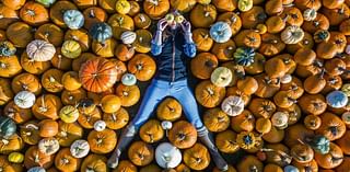 Festival with 250,000 pumpkins open until Halloween