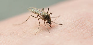 Positive West Nile Virus tests raise concerns in Mobile County