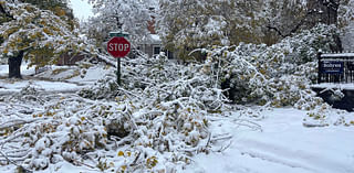 After Storm Tears Off Chunk Of 100-Year-Old Tree, Casper Neighbors Rally To Help