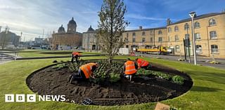 Traditional Victorian plants to return to Hull's Rose Bowl