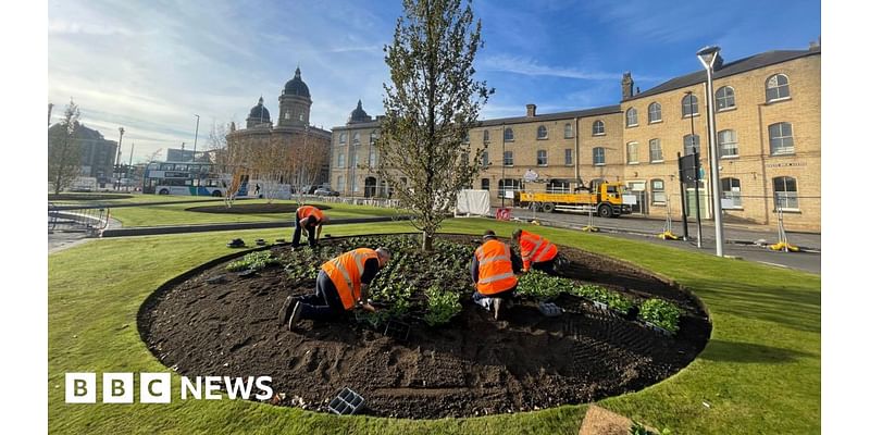 Traditional Victorian plants to return to Hull's Rose Bowl