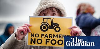 Far-right groups plan to hijack farmers’ protest in London against tax changes