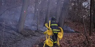 FDNY launches first brush fire task force amid record-dry months