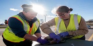 DNR pulls out all the stops — and workers — for Chronic Wasting Disease testing in Southeast Minnesota