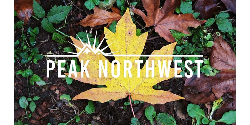 6 perfect fall hiking spots close to Portland: Peak Northwest podcast