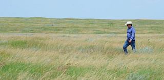 North American grasslands, sagebrush targeted for protection, investments