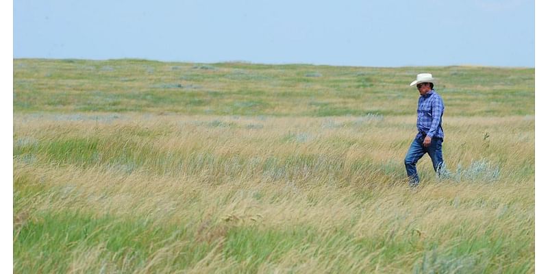 North American grasslands, sagebrush targeted for protection, investments