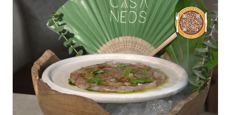 Sea Bass Carpaccio / Casa Neos, Miami - WSVN 7News