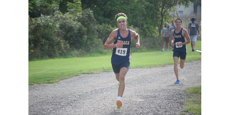 Mid-Michigan shows well at MHSAA cross-country finals