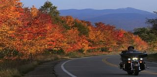 This is the weekend to see fall foliage in western Massachusetts