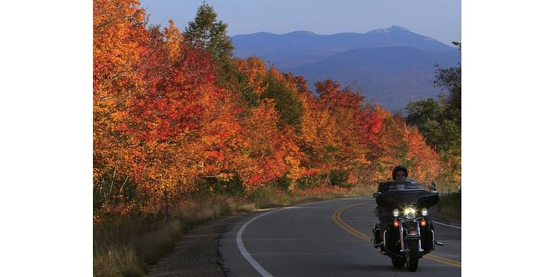 This is the weekend to see fall foliage in western Massachusetts