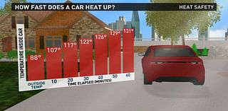More children die in hot cars in Texas than any other state, group says; tips to protect your child