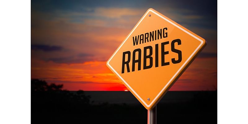 Health officials warn of two cases of rabid skunks in Botetourt County