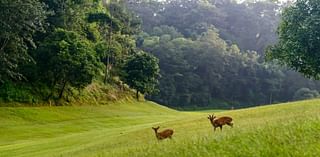 Nepal’s historic, tranquil forest retreat on the outskirts of Kathmandu