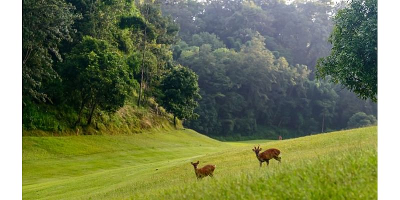 Nepal’s historic, tranquil forest retreat on the outskirts of Kathmandu