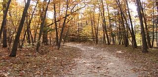 Cider mills, pumpkin patches, barn quilts bring in fall in mid-Michigan