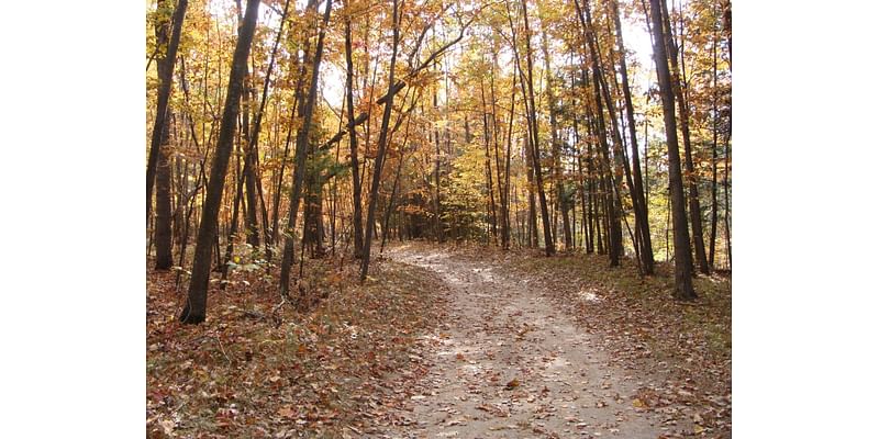 Cider mills, pumpkin patches, barn quilts bring in fall in mid-Michigan