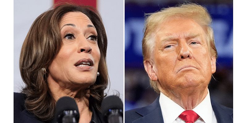 Harris campaign hosts separated families ahead of Trump’s Univision town hall