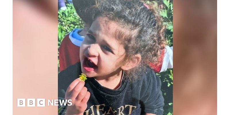 Israel-Gaza: Four-year-old girl among released hostages