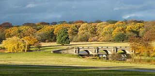 National Trust says autumn colour could be ‘mixed bag’ after wet year