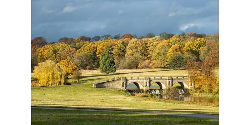 National Trust says autumn colour could be ‘mixed bag’ after wet year