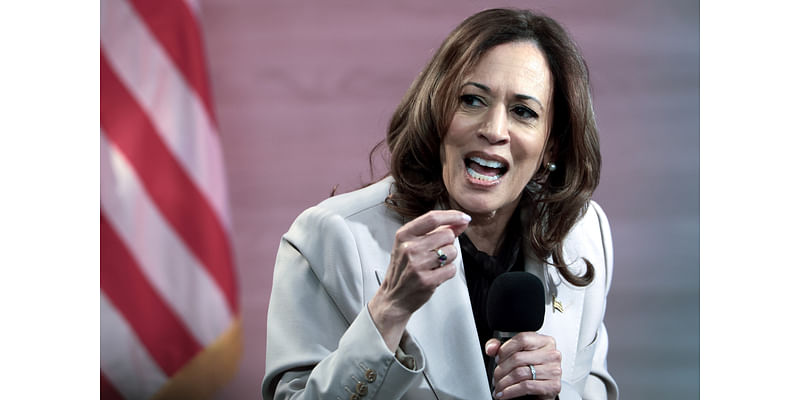 How the Least Discussed Swing State Could Swing Away From Kamala Harris