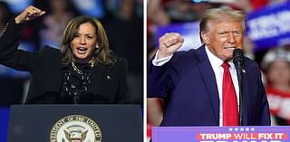 Presidential election exit polls find Kamala Harris and Donald Trump voters scared