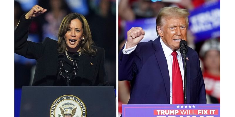 Presidential election exit polls find Kamala Harris and Donald Trump voters scared