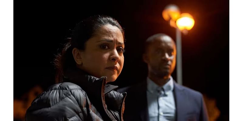 How to watch DI Ray season 2 online: stream British crime drama