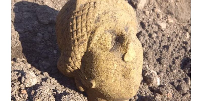 Third Roman head unearthed at cricket club dig