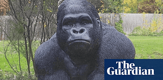 Man charged over alleged theft of Garry the gorilla
