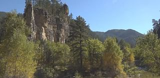 Leaves changing colors throughout Spearfish Canyon