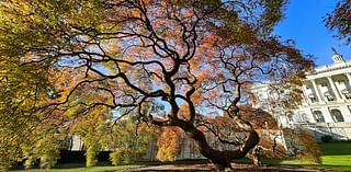 D.C.-area forecast: Highs climb through 70s today, challenging records