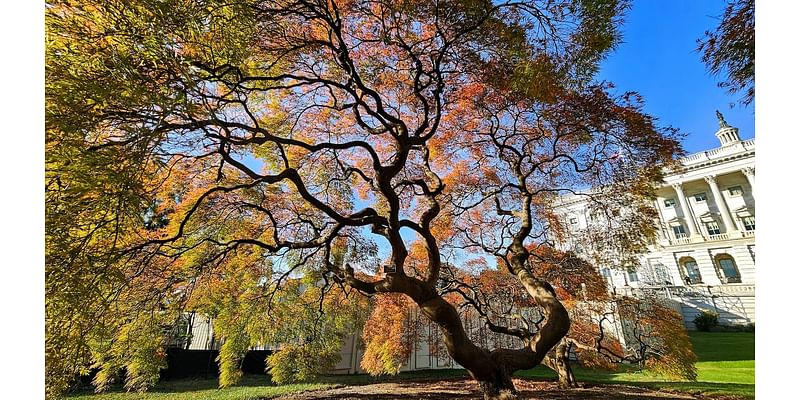 D.C.-area forecast: Highs climb through 70s today, challenging records