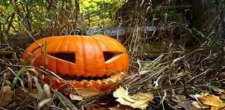 Where To Pick Pumpkins In Point Pleasant This Fall