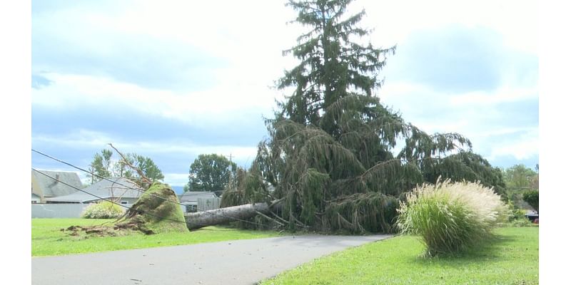 Clean-up and recovery efforts progress in Princeton