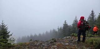 Missing 2 days, Sandy mushroom hunter walks out safe