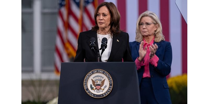 Kamala Harris Is Taking a Big Risk By Playing It Safe