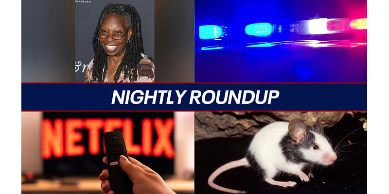 Whoopi Goldberg refused service for politics; Netflix outage during Jake Paul vs Mike Tyson | Nightly Roundup