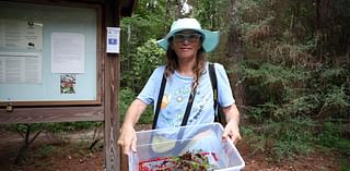 The ‘Berry Queen’: Environmental activist fights invasive plant species in local parks