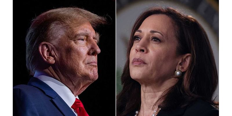 Harris and Trump target Michigan as both parties try to shore up 'blue wall' votes