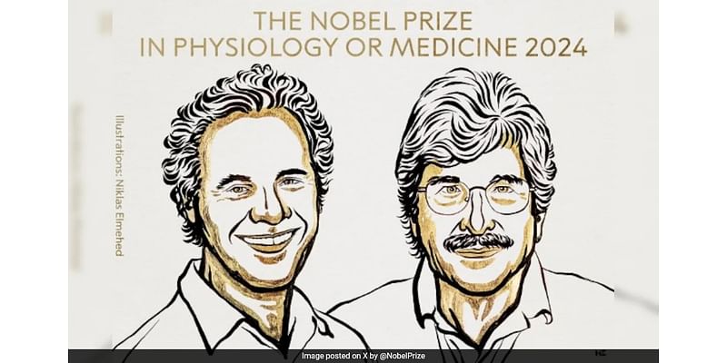 2024 Nobel Prize In Medicine Goes To US Scientists For microRNA Discovery