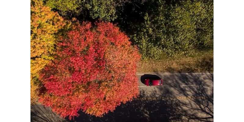 Fall arrives in Philly Sunday. Will the foliage and frost come early? And other seasonal questions.