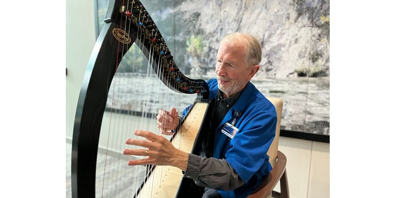 Harpist at Clinton Twp. hospital provides a sweet distraction