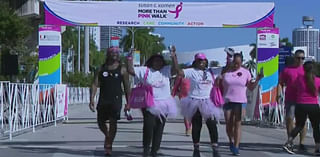 Thousands to join Susan G. Komen More Than Pink Walk at Amelia Earhart Park