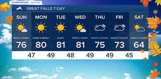 Mild temperatures and dry conditions ahead