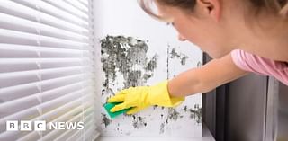 Dangers of damp and mouldy homes highlighted