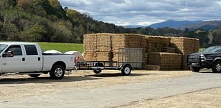 Hurricane Helene leaves Western North Carolina farmers struggling with losses