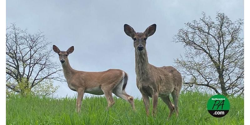 Farmer support could lead Pennsylvania to lift its near-total ban on Sunday hunting