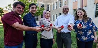 WT researchers receive grant to investigate new ways of growing strawberries